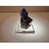 Fluorite thumbnail mineral, Elmwood Mine, TN, Near 2 inch beauty Prehistoric Online