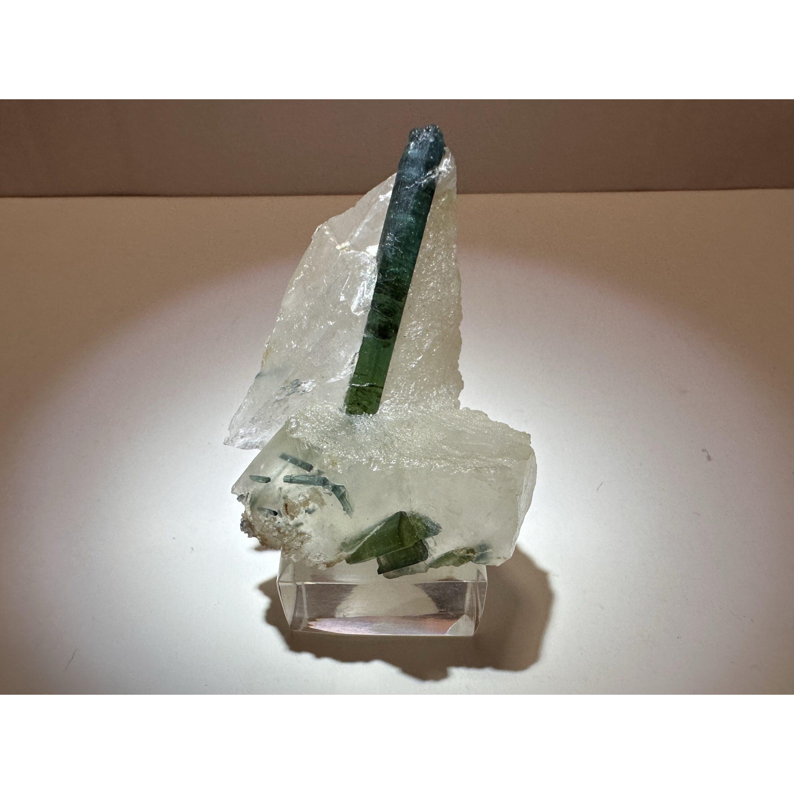 Green Tourmaline crystal in quartz, Brazil Prehistoric Online