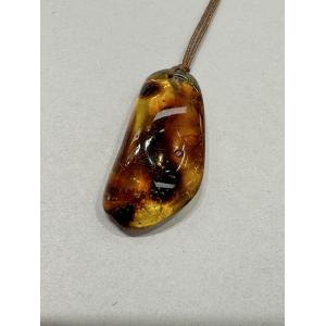 Amber pendant on leather cord , Lithuania Prehistoric Online