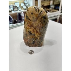 Crazy Lace Agate Stand up, Mexico Prehistoric Online