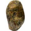 Crazy Lace Agate Stand up, Mexico Prehistoric Online