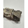 Mosasaurus vertebra column, Kansas Prehistoric Online