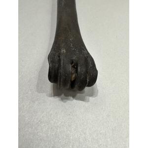 Horse fossil Metatarsal bone, Florida Prehistoric Online