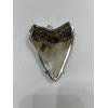 Megalodon Fossil Shark Tooth Pendant- Sterling Silver Prehistoric Online