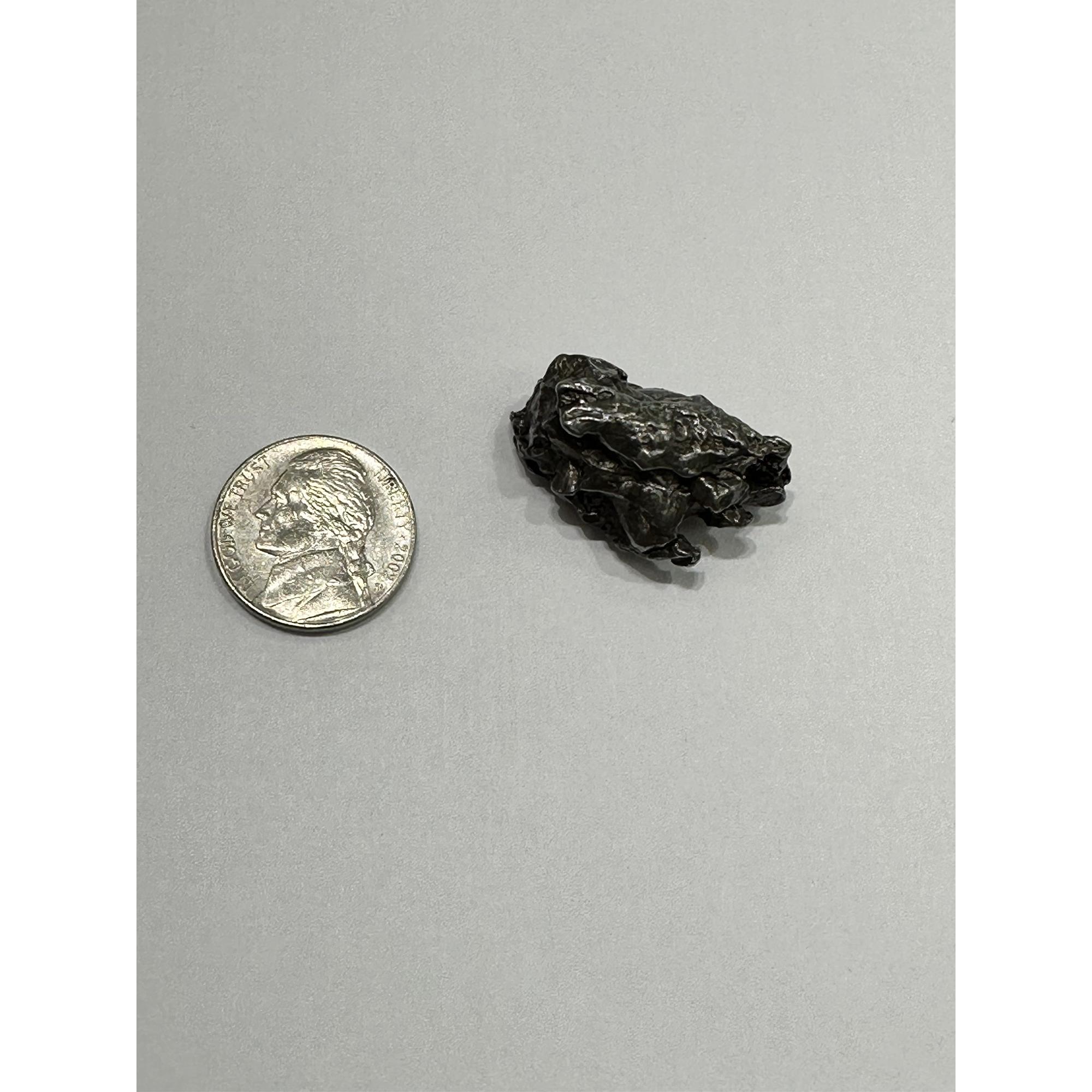 Campo de Cielo meteorite, Nickel iron 1 1/2 inch Prehistoric Online