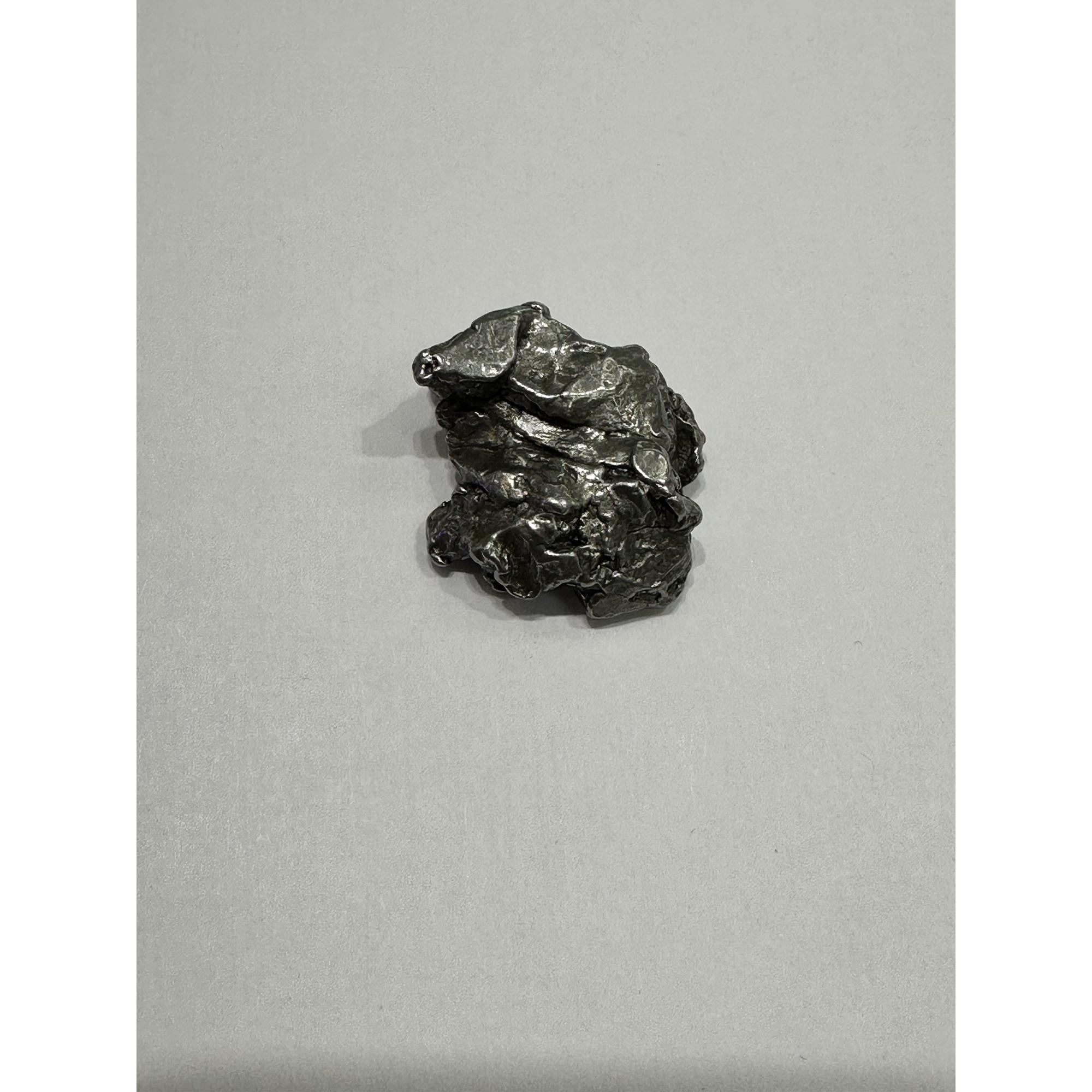 Campo de Cielo meteorite, beautiful 1 1/2 inch long Prehistoric Online