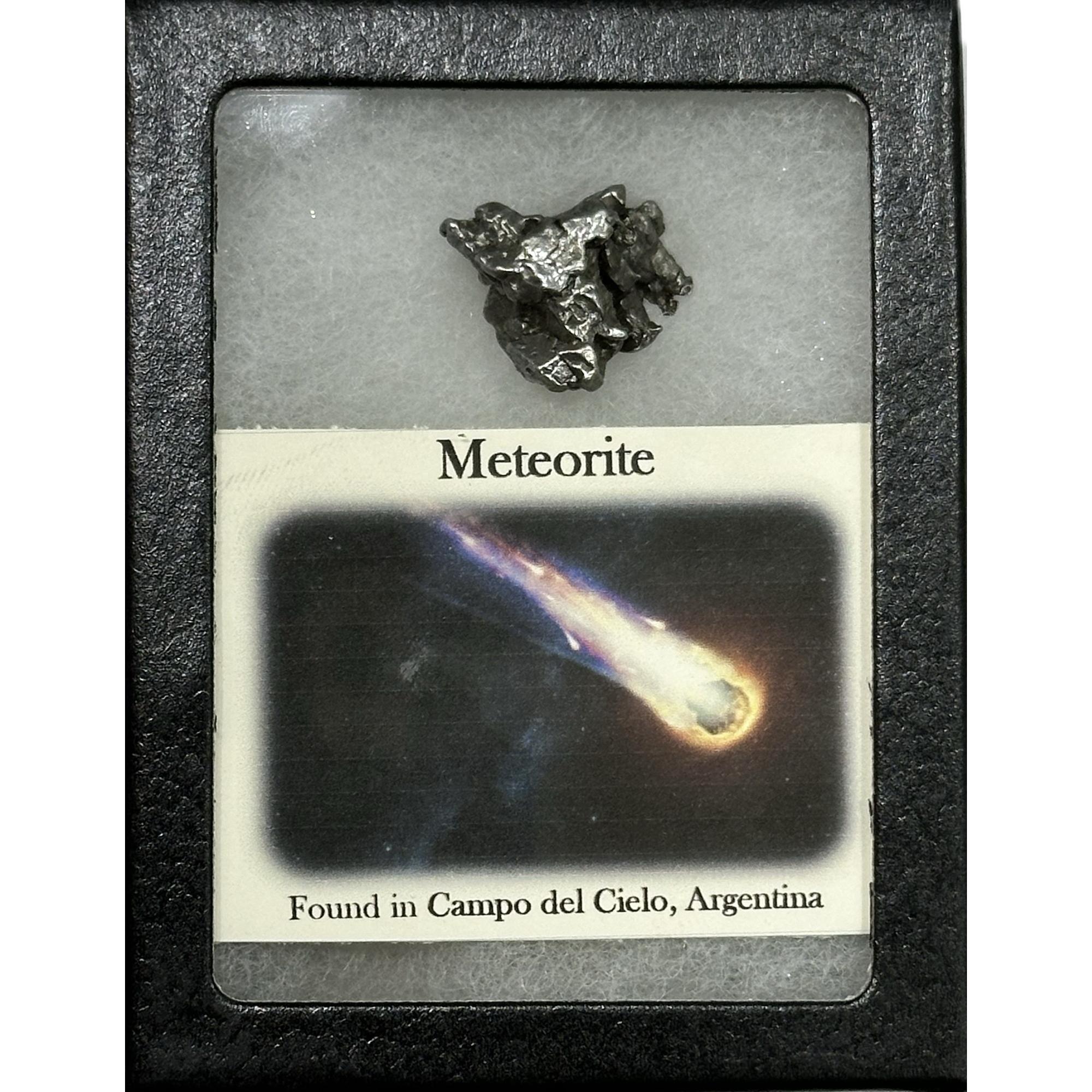 Campo de Cielo meteorite Prehistoric Online