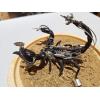 Steampunk Insect Scorpion Prehistoric Online