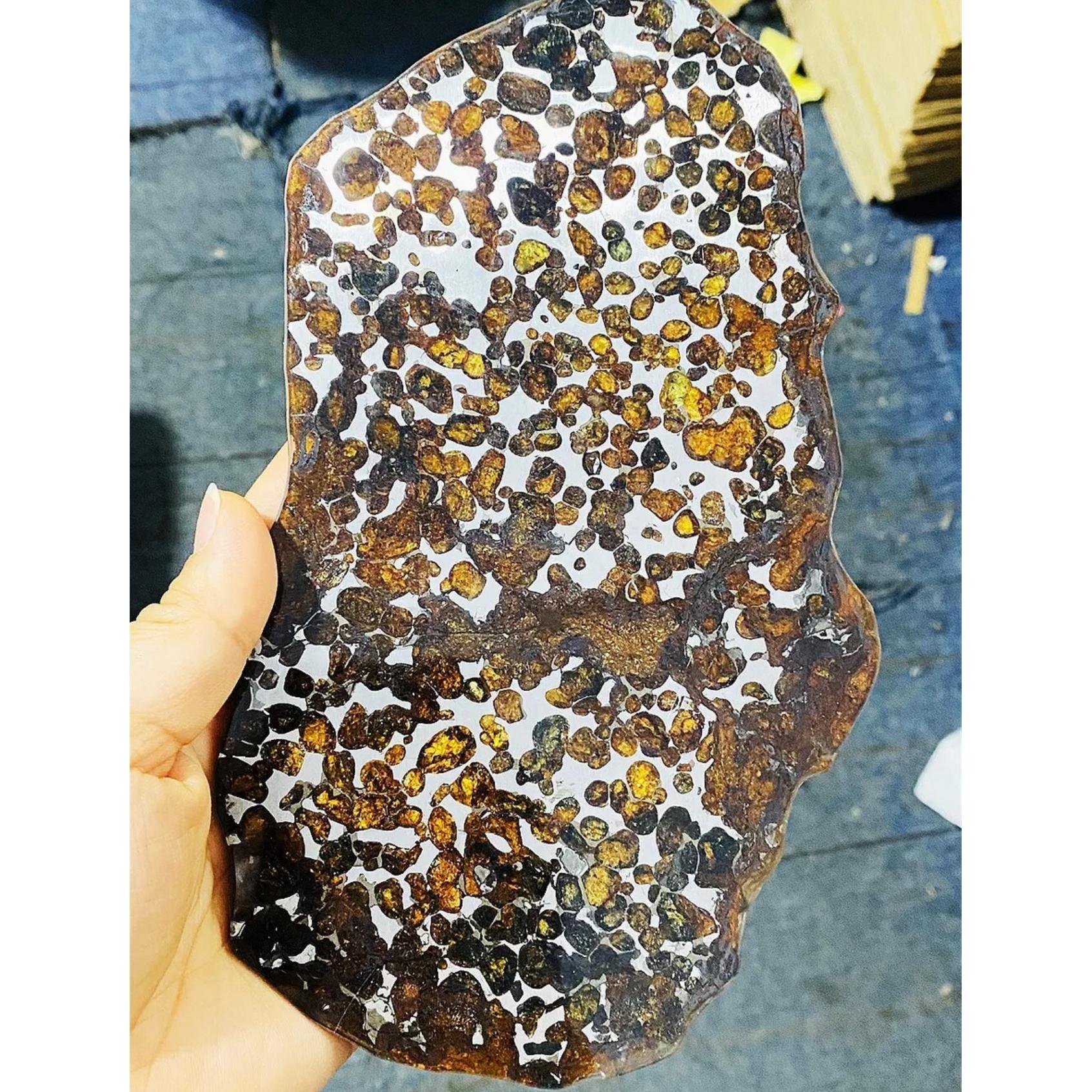 Stony Iron Pallasite meteorite, Sericho Prehistoric Online