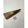 Spinosaurus Tooth, 5 5/8 inch, Morocco Prehistoric Online