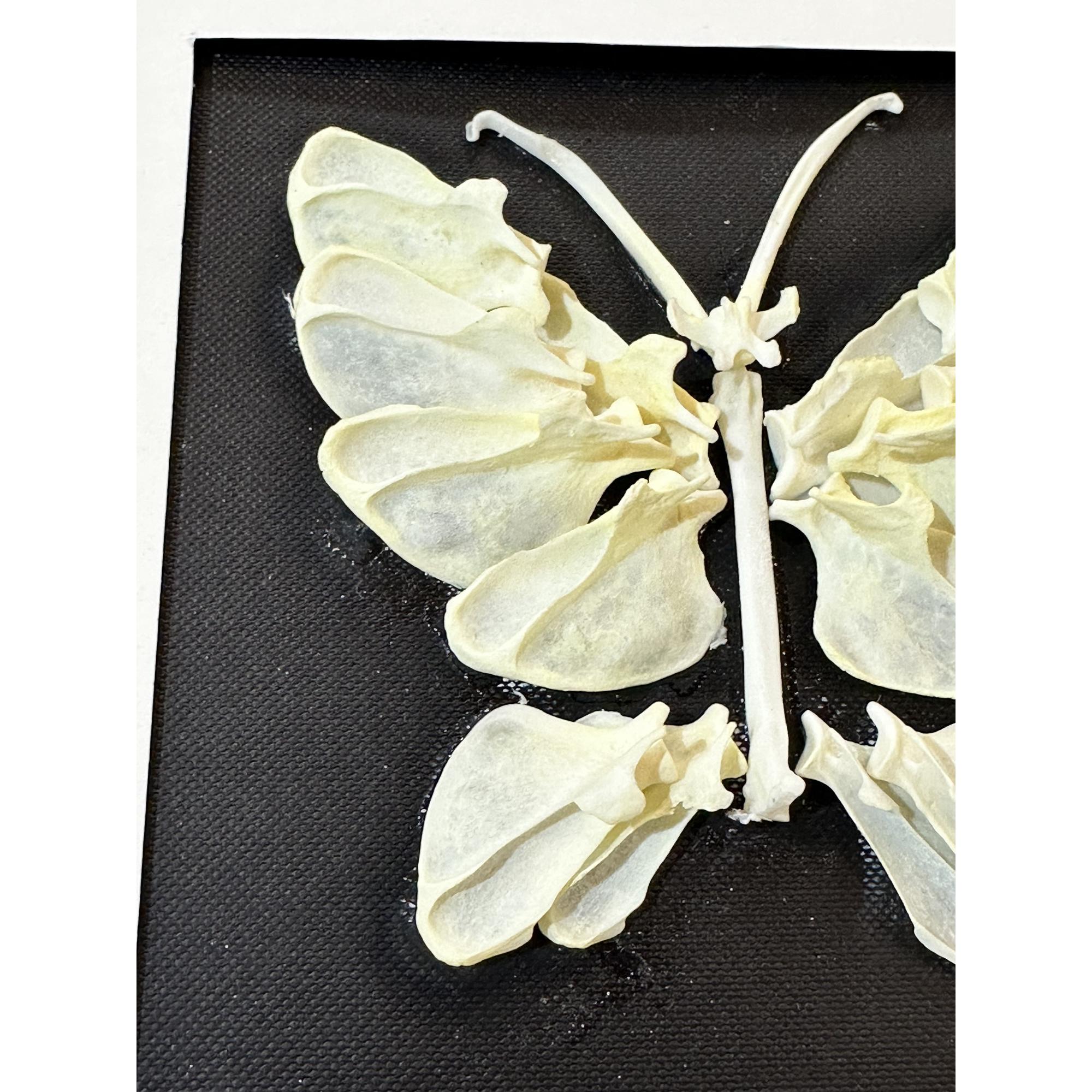 Bone Art, Butterfly in frame Prehistoric Online