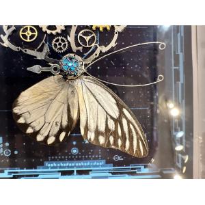Steampunk Butterfly, LED Center Prehistoric Online