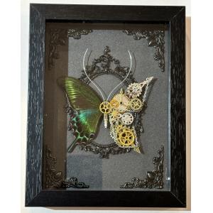 Steampunk Butterfly Victorian design Prehistoric Online