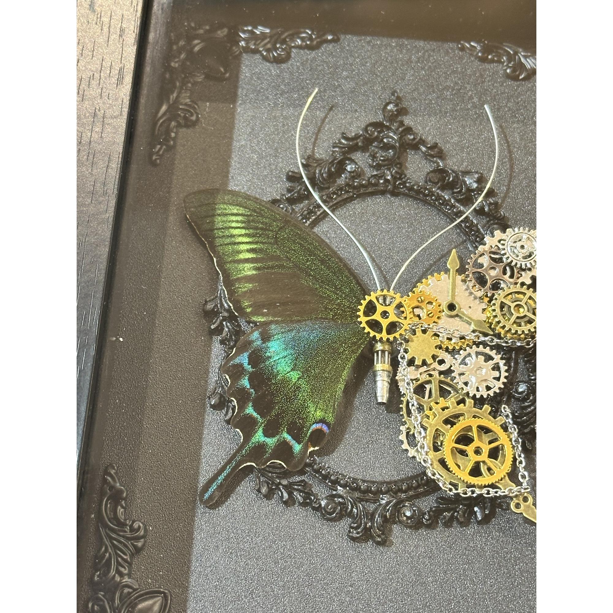 Steampunk Butterfly, Victorian design Prehistoric Online