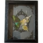 Steampunk Butterfly, Victorian design Prehistoric Online