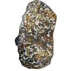 Stony Iron Pallasite meteorite, Sericho Prehistoric Online