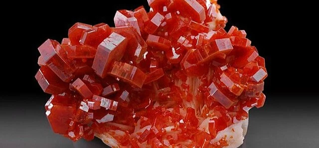 This is a high-quality picture of a vanadinite cluster. It is a deep red in color and it has been professionally taken.