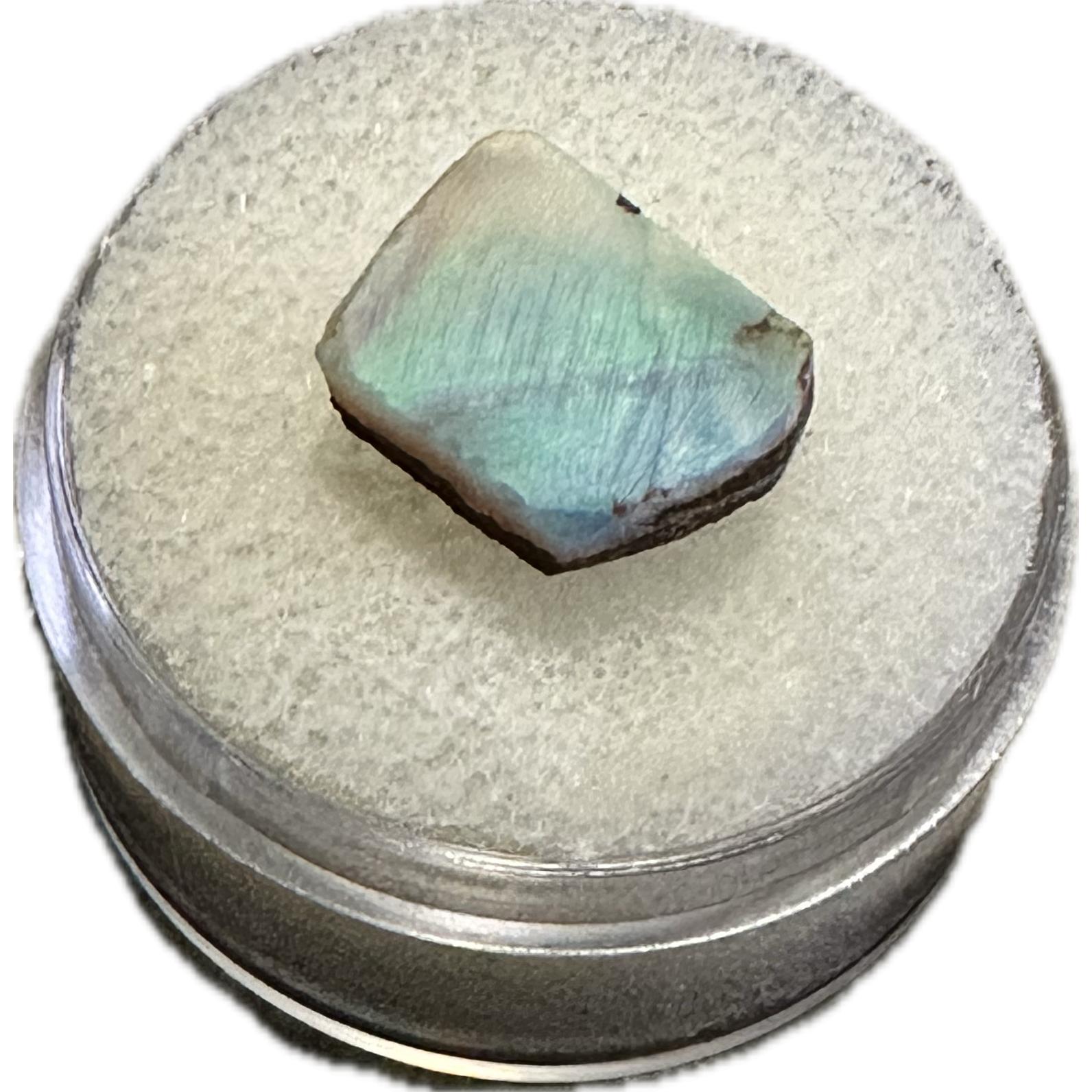 Opal, boulder Australia Prehistoric Online