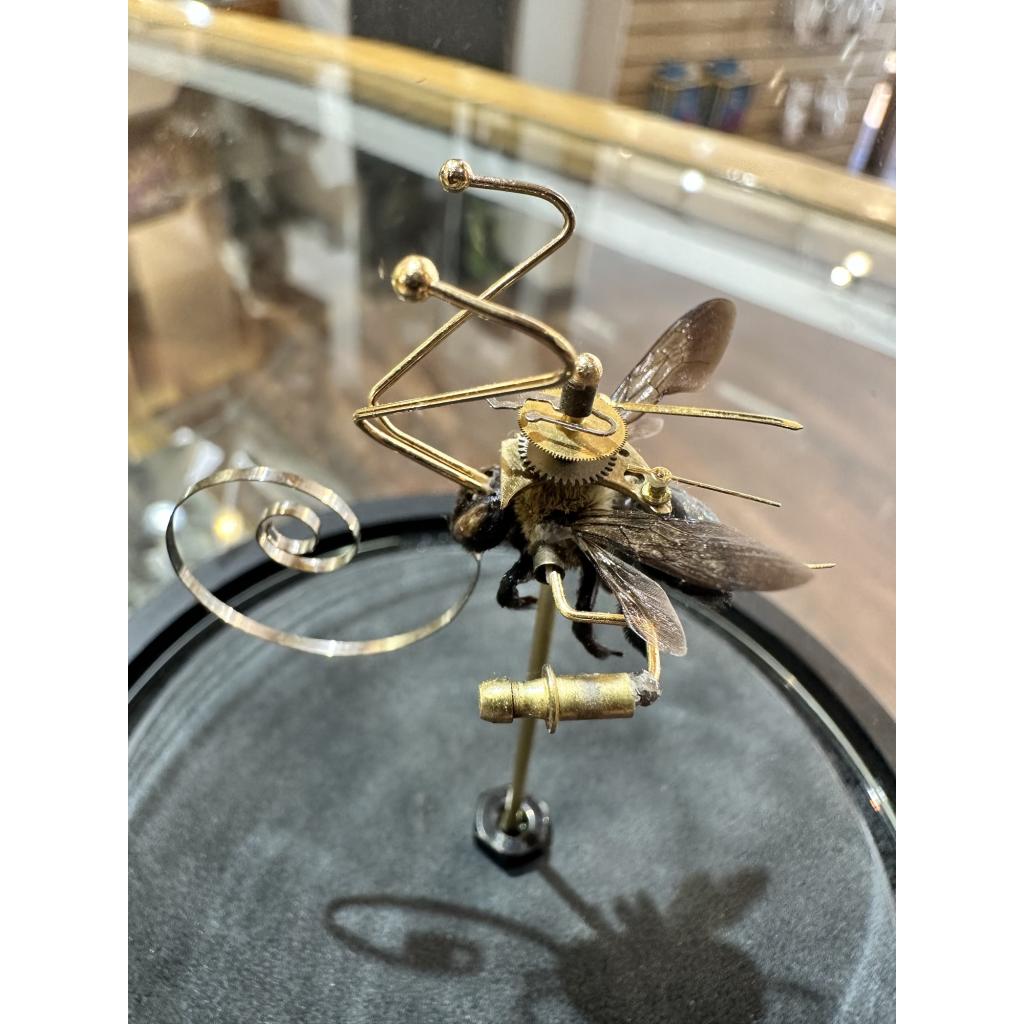 insect taxidermy by Mike Libby