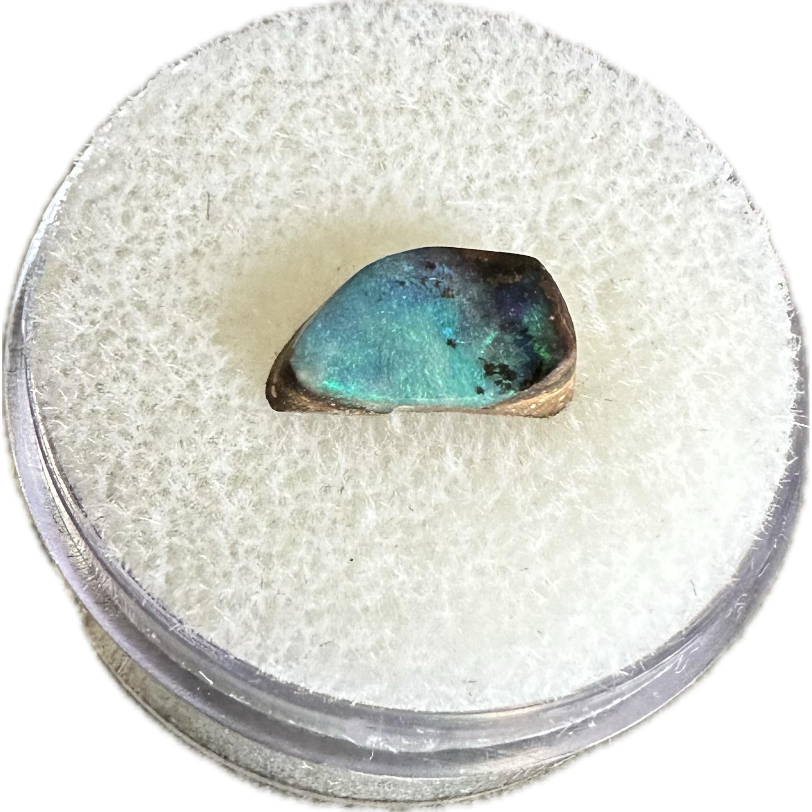 Opal, boulder Australia Prehistoric Online
