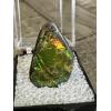 Ammolite gem quality Prehistoric Online