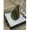 Ammolite gem quality Prehistoric Online