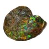 This is a picture of a huge ammolite shell, lots of play-of-color can be observed on it.