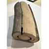 Mammoth Tusk section, 9 inches long Prehistoric Online