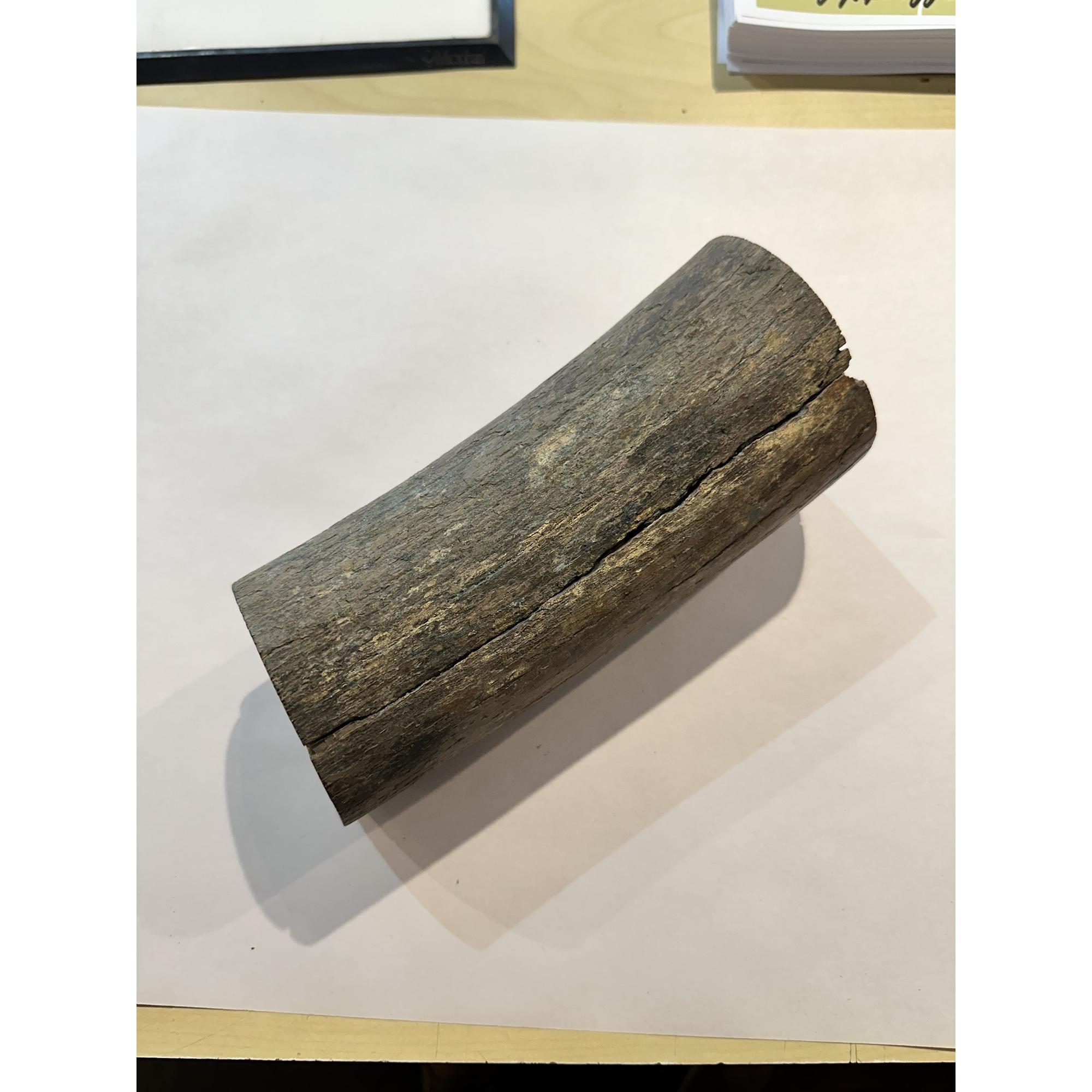 Mammoth Tusk section, Washington State Prehistoric Online