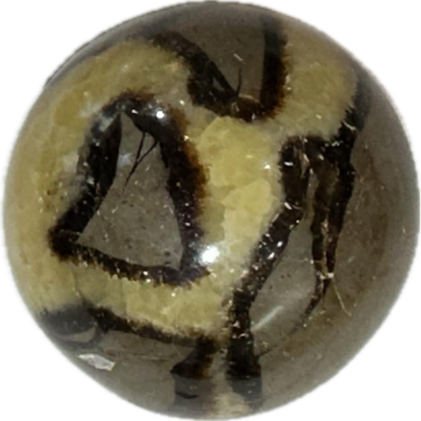 Septarian Sphere- Utah Prehistoric Online