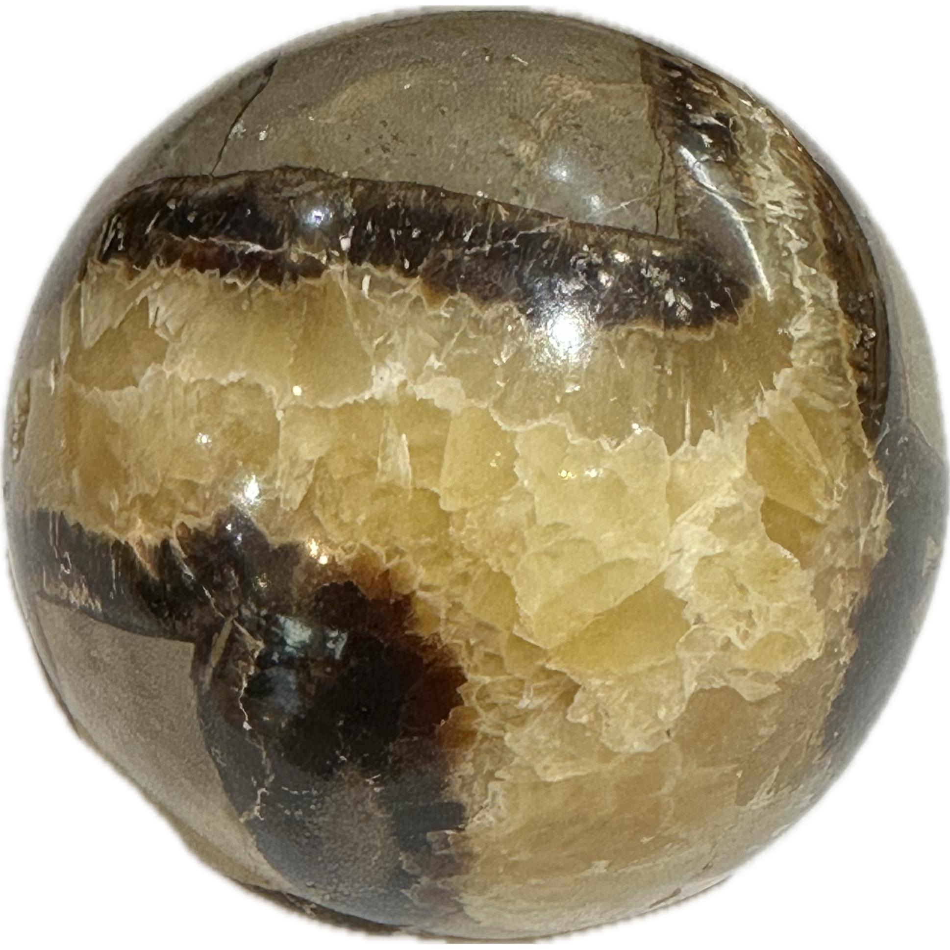 Septarian Sphere- Utah Prehistoric Online