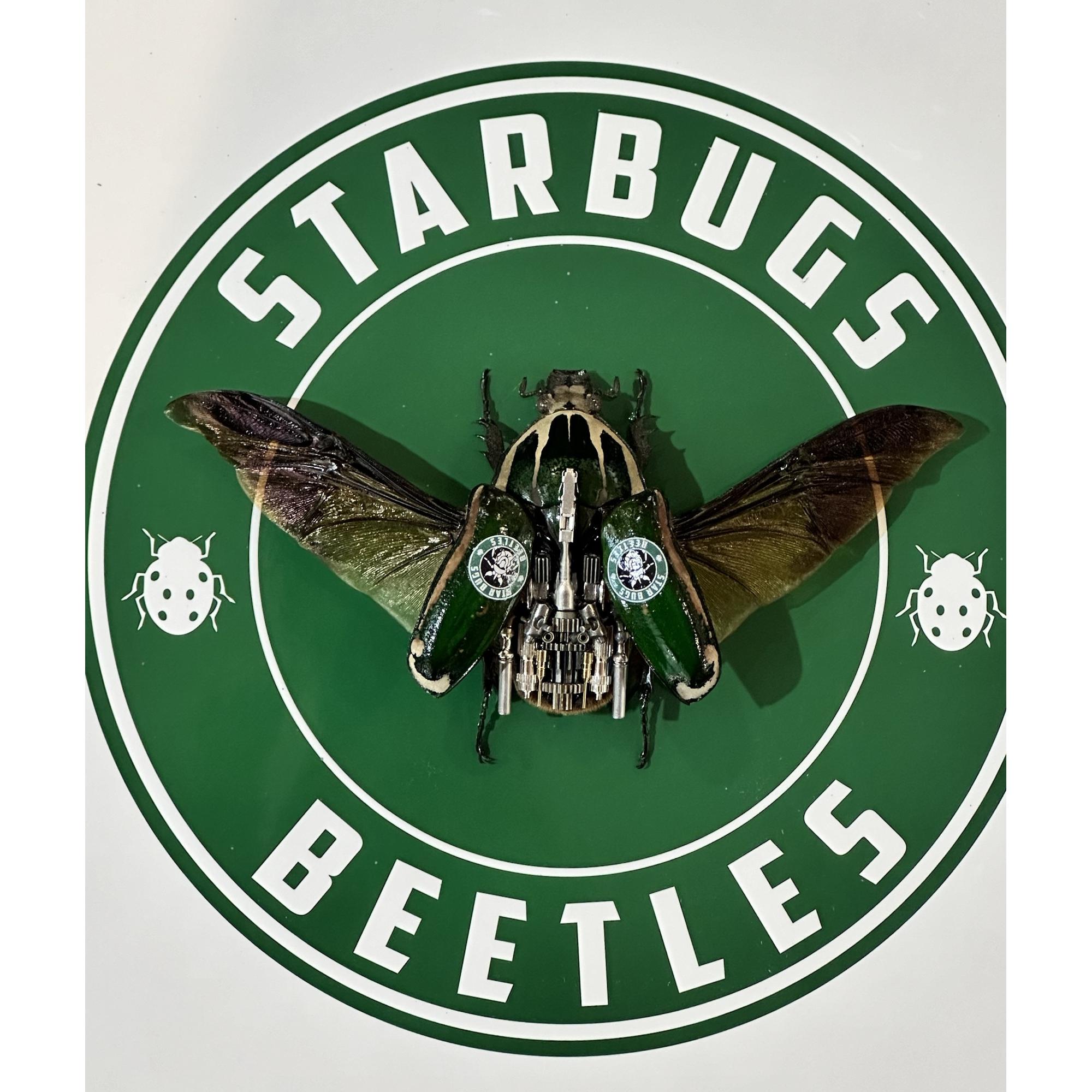 Steampunk Beetle, Starbugs Prehistoric Online
