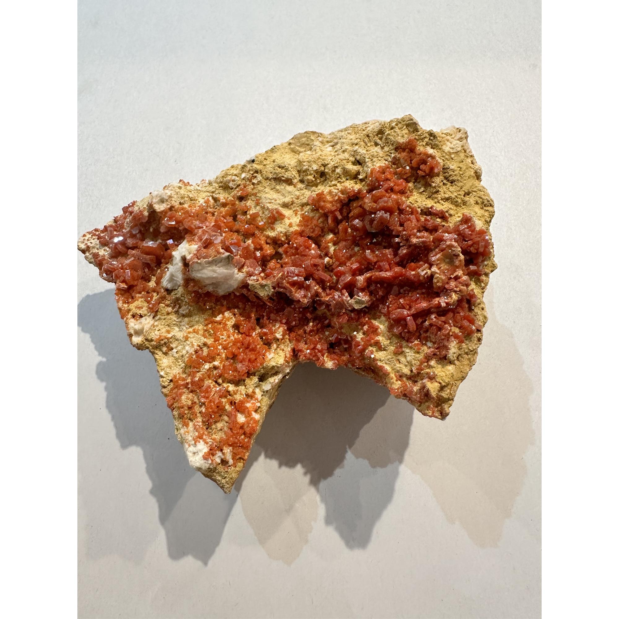 Vanadinite crystals, Morocco, Vibrant color Prehistoric Online