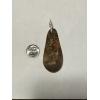 Petrified wood pendant, Oregon, Agate center Prehistoric Online