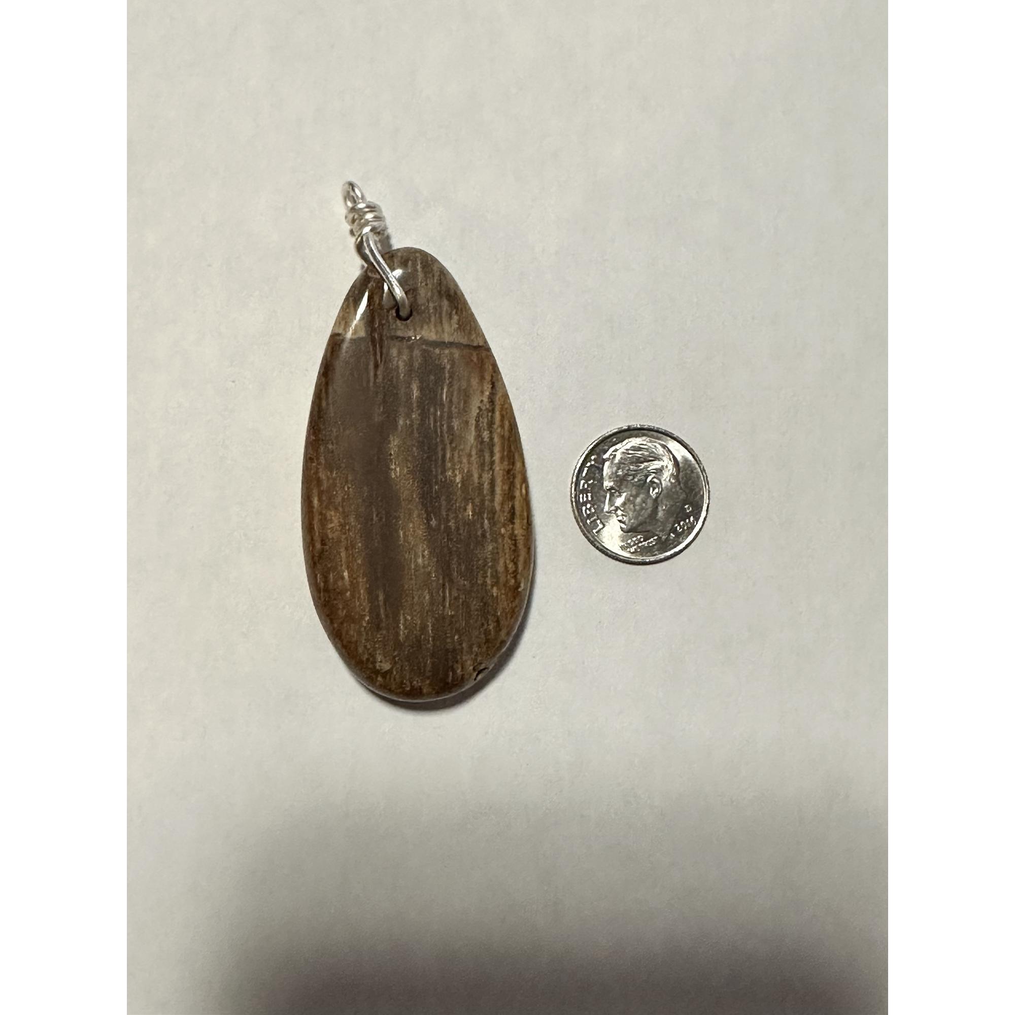 Petrified wood pendant, Oregon, vibrant brown color Prehistoric Online
