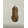 Petrified wood pendant, Oregon,  approx 2 inches long Prehistoric Online