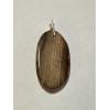 Petrified wood pendant, Oregon, rich brown color Prehistoric Online