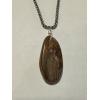 Petrified wood pendant, fossilized and hand polished Prehistoric Online