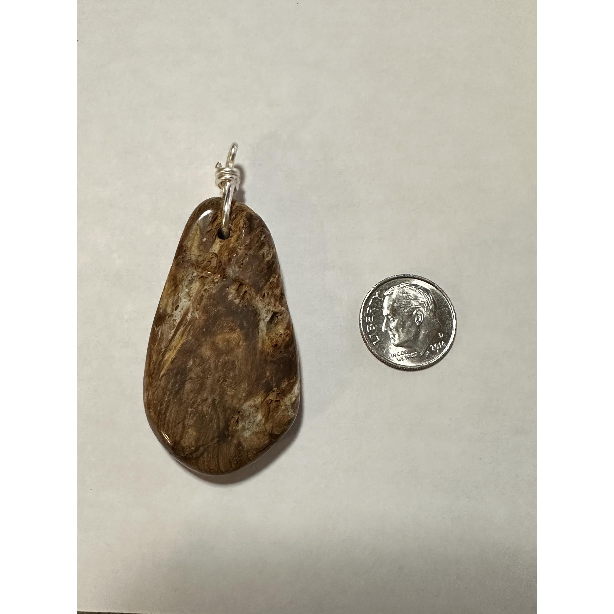 Petrified wood pendant, Oregon, hand wrapped bail Prehistoric Online
