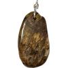 Petrified wood pendant, Made in Oregon Prehistoric Online