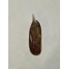 Petrified wood pendant, Oregon, locally wrapped Prehistoric Online