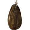 Petrified wood pendant, beautiful graining Prehistoric Online