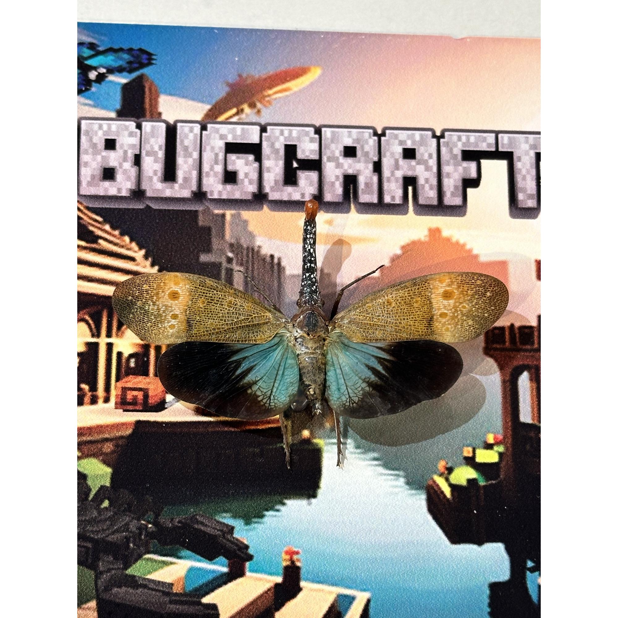 Steampunk Beetle, Bugcraft Prehistoric Online
