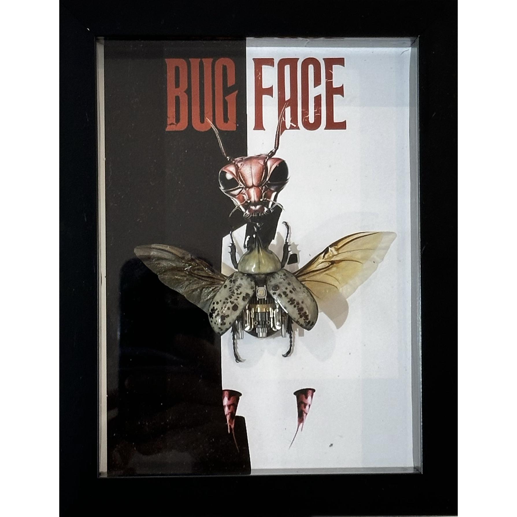 Bugface fun themed steampunk art in frame. the melding of mechanical and natural insect is amazing taxidermy