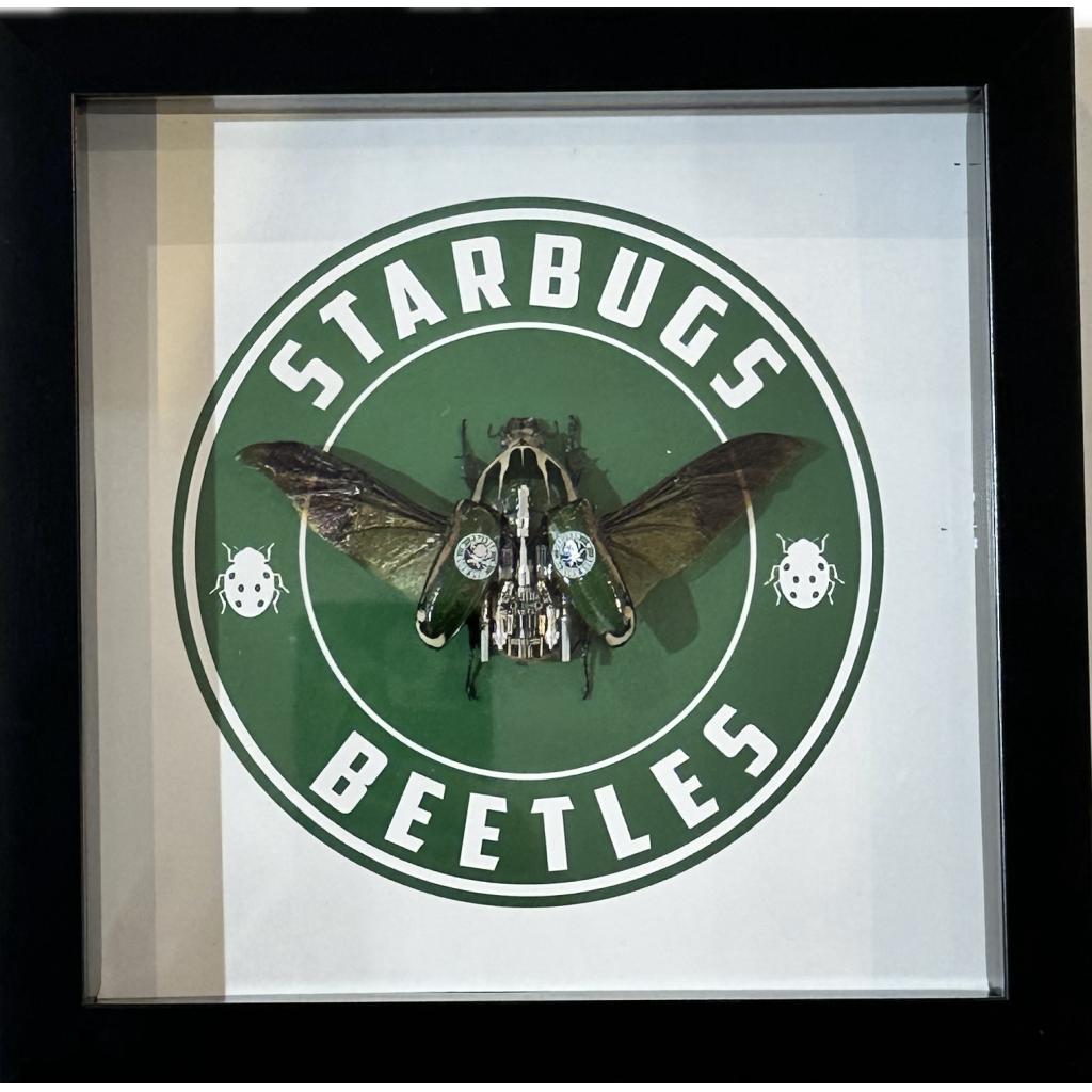 starbugs, logo themed steampunk beetle art