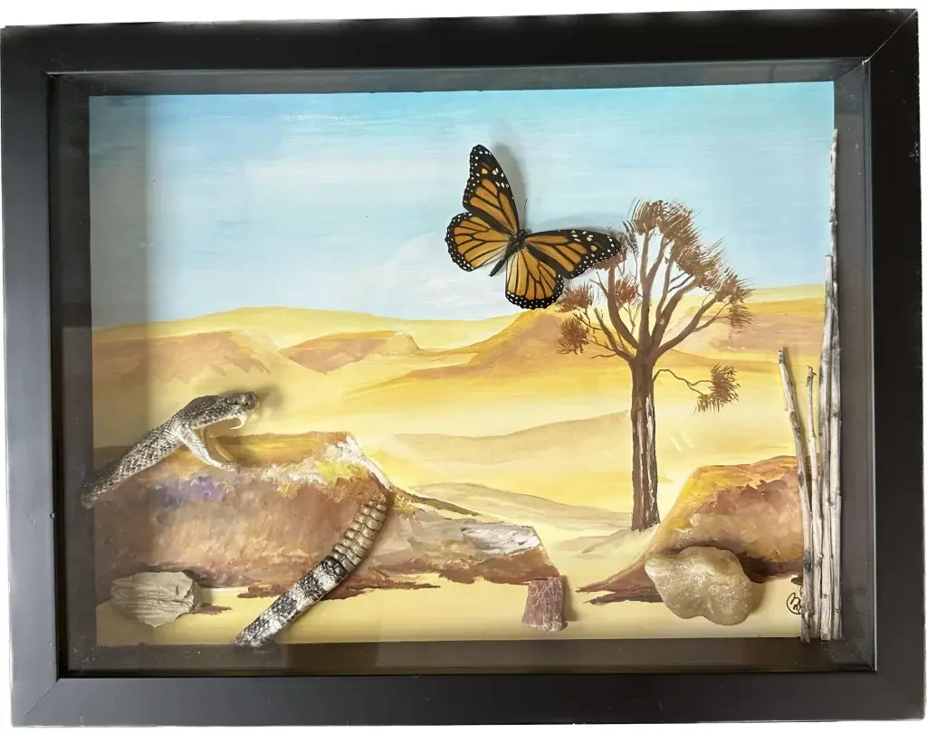 butterfly taxidermy art with