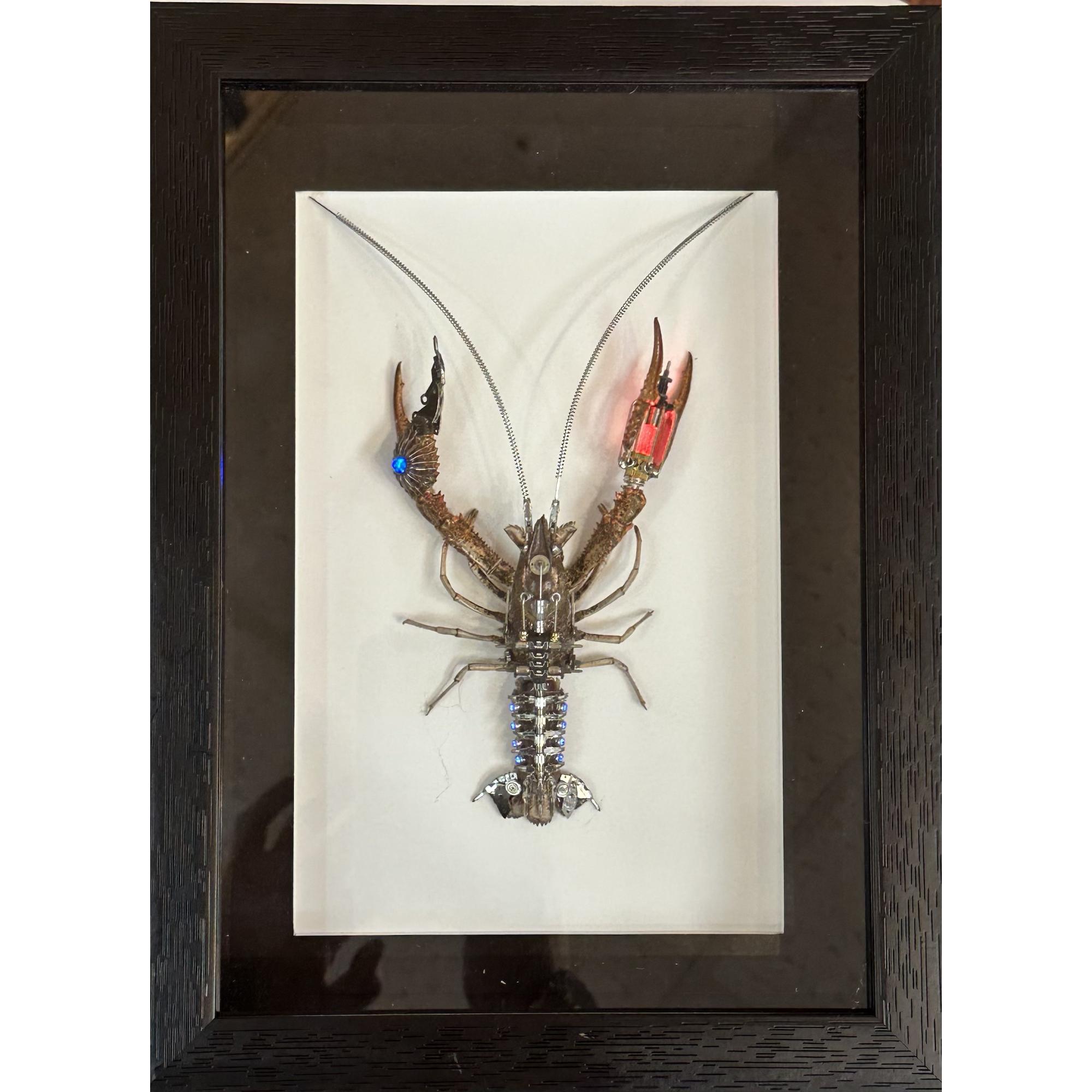 steampunk lobster in frame, led lights. rare and gorgeous