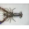 Steampunk Lobster with Lights Prehistoric Online