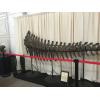 Camarasaurus grandis dino tail measuring 15 feet in length.