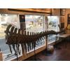 This exquisite dinosaur tail measures 15 feet long and is from Camarasaurus Grandis.